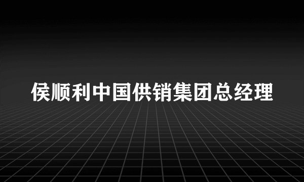 侯顺利中国供销集团总经理
