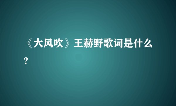 《大风吹》王赫野歌词是什么?