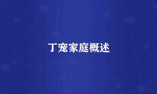丁宠家庭概述