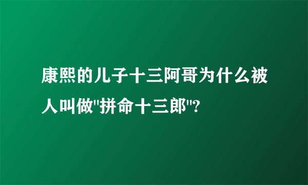 康熙的儿子十三阿哥为什么被人叫做