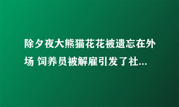 除夕夜大熊猫花花被遗忘在外场 饲养员被解雇引发了社会的广泛关注