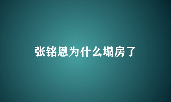 张铭恩为什么塌房了