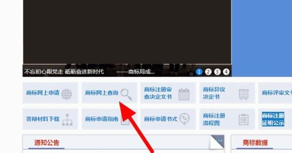 商标证号在哪里可以看到