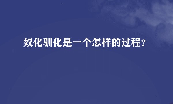 奴化驯化是一个怎样的过程？