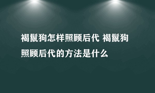 褐鬣狗怎样照顾后代 褐鬣狗照顾后代的方法是什么