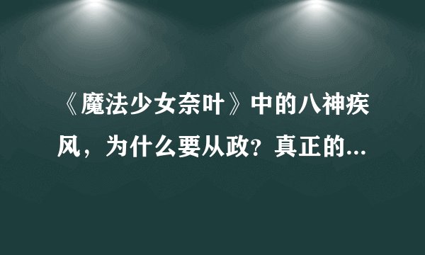 《魔法少女奈叶》中的八神疾风,为什么要从政?真正的含义是什么