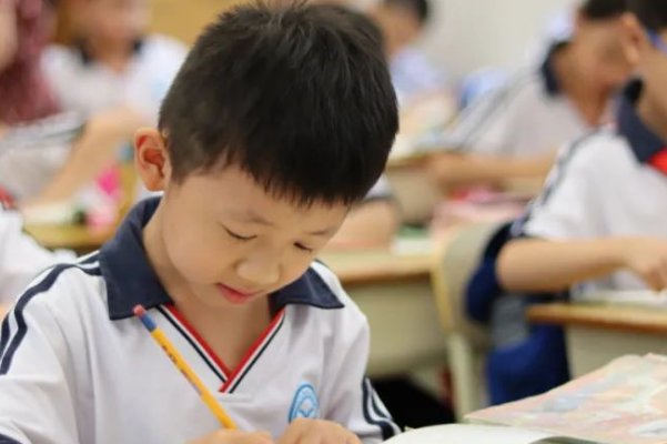中国tobu7tobu8学生软件特色