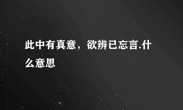 此中有真意，欲辨已忘言.什么意思
