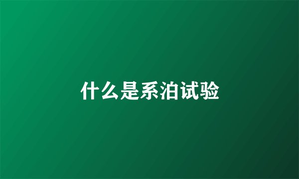 什么是系泊试验