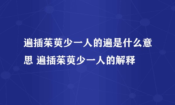 遍插茱萸少一人的遍是什么意思 遍插茱萸少一人的解释