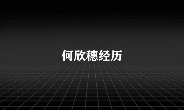 何欣穗经历