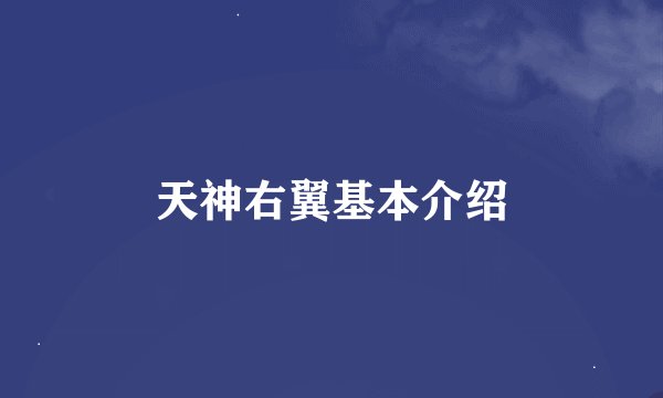 天神右翼基本介绍