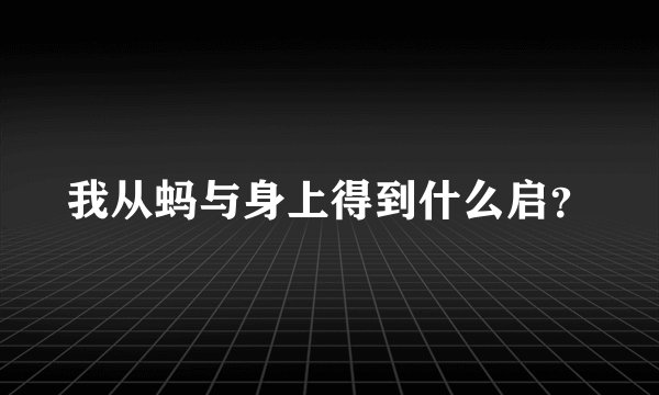 我从蚂与身上得到什么启？