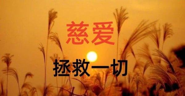 成就卓越人生的十大黄金法则