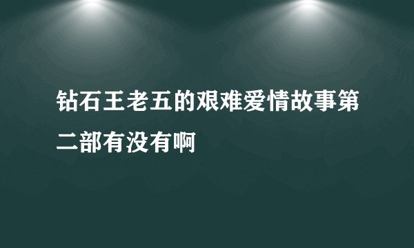 钻石王老五的艰难爱情故事第二部有没有啊