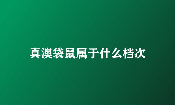 真澳袋鼠属于什么档次