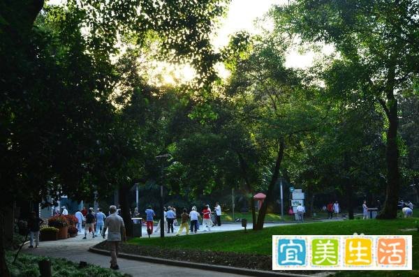 上海中山公园有什么好玩的