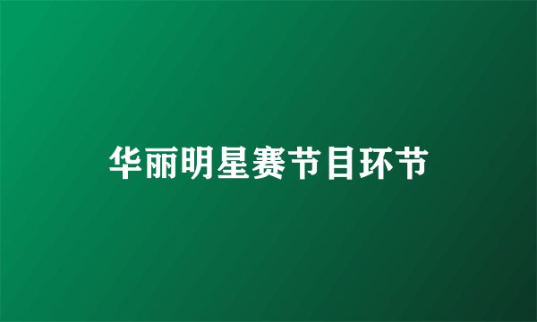 华丽明星赛节目环节