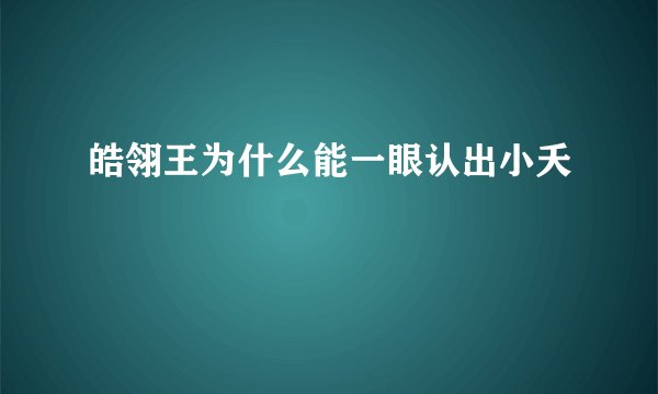 皓翎王为什么能一眼认出小夭