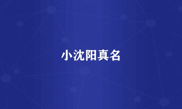 小沈阳真名