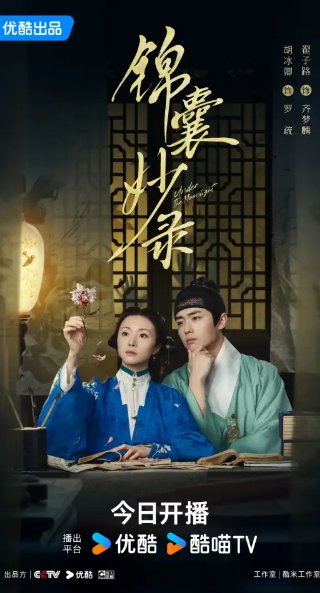锦囊妙录的剧情简介