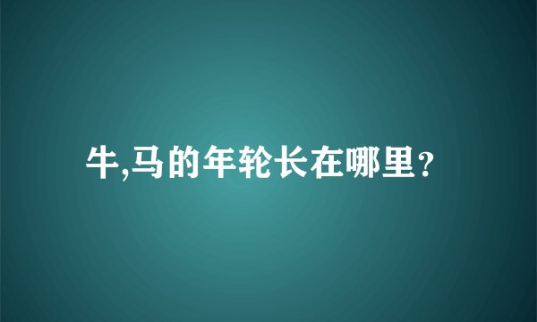 牛,马的年轮长在哪里？