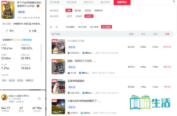 小红书笔记数据分析在哪里看？