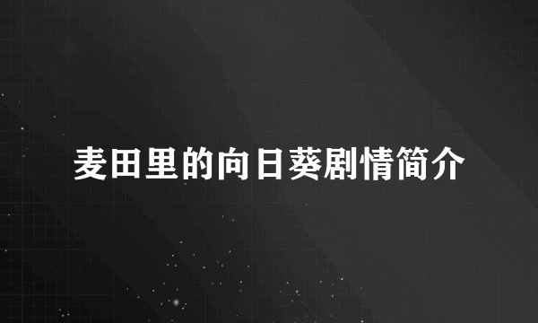 麦田里的向日葵剧情简介