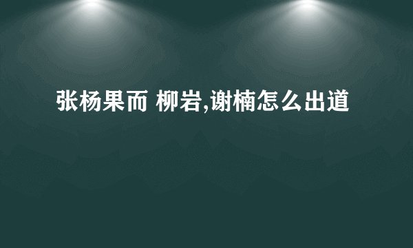 张杨果而 柳岩,谢楠怎么出道