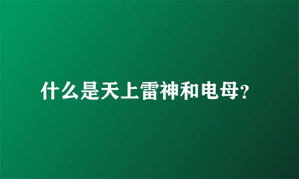 什么是天上雷神和电母？