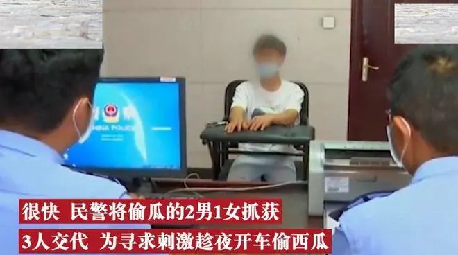 为寻求刺激，山东两男一女开宝马偷上千斤西瓜，他们会面临什么处罚？