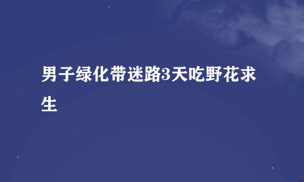 男子绿化带迷路3天吃野花求生
