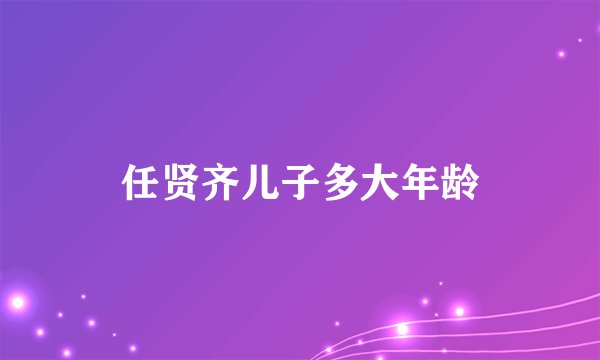 任贤齐儿子多大年龄