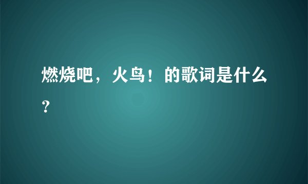 燃烧吧,火鸟!的歌词是什么?