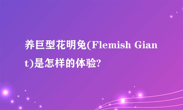 养巨型花明兔(Flemish Giant)是怎样的体验?