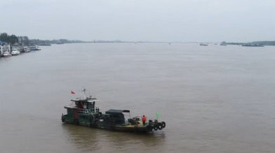 夫妻为捡垃圾卖掉唯一住房,他们捡垃圾为的是什么?