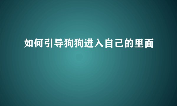 如何引导狗狗进入自己的里面