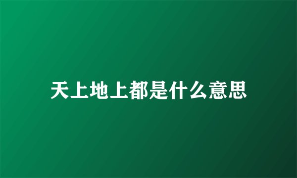 天上地上都是什么意思