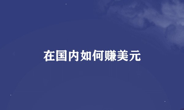 在国内如何赚美元