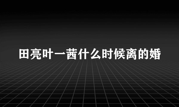 田亮叶一茜什么时候离的婚