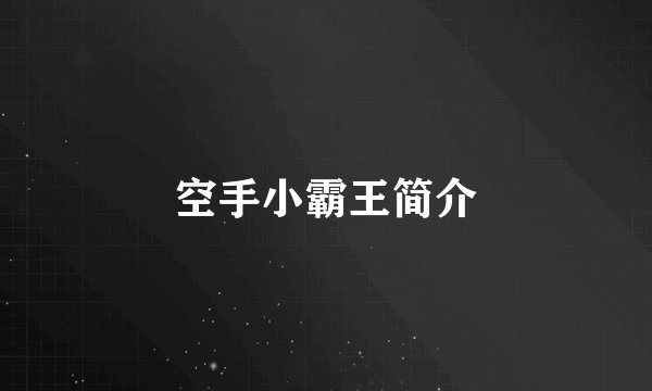 空手小霸王简介