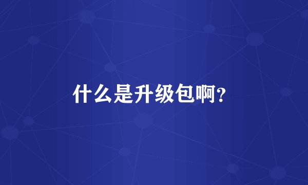 什么是升级包啊？