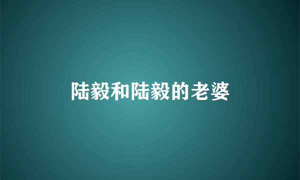 陆毅和陆毅的老婆