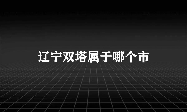 辽宁双塔属于哪个市