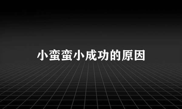 小蛮蛮小成功的原因