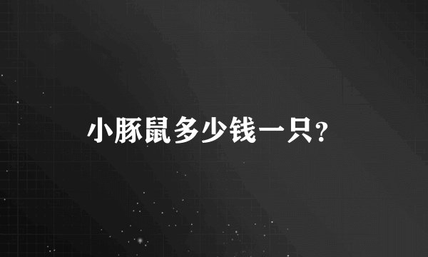 小豚鼠多少钱一只？