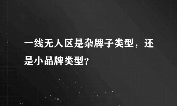 一线无人区是杂牌子类型,还是小品牌类型?