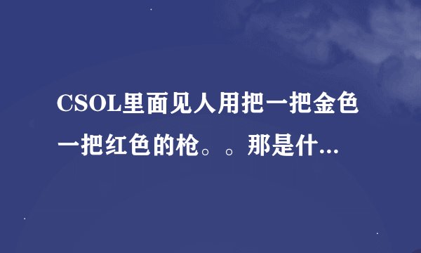 CSOL里面见人用把一把金色一把红色的枪。。那是什么枪啊。。貌似CSOL里双枪有很多。但为什么买不到啊
