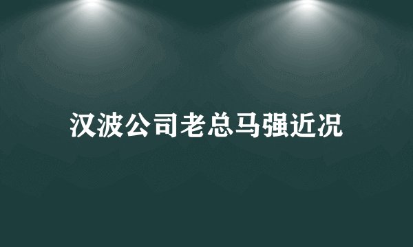 汉波公司老总马强近况