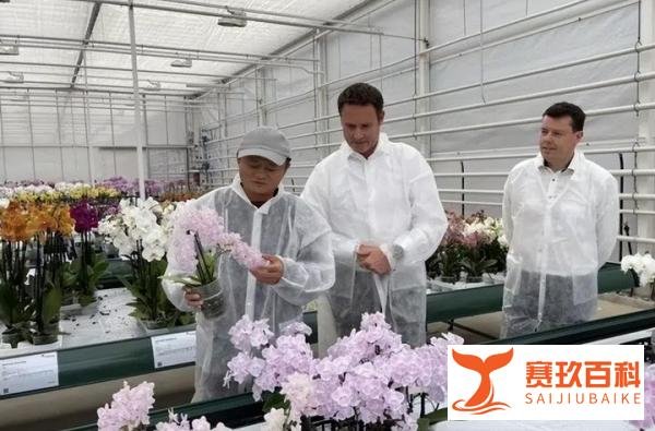马云卸任浙商总会会长一职,江湖再无“风清扬”?布局才刚开始!